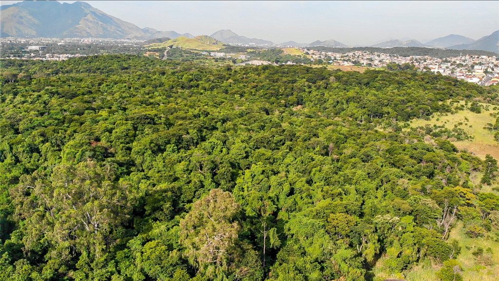 Câmara Municipal do Rio aprova Camboatá como refúgio e sepulta pista em Deodoro