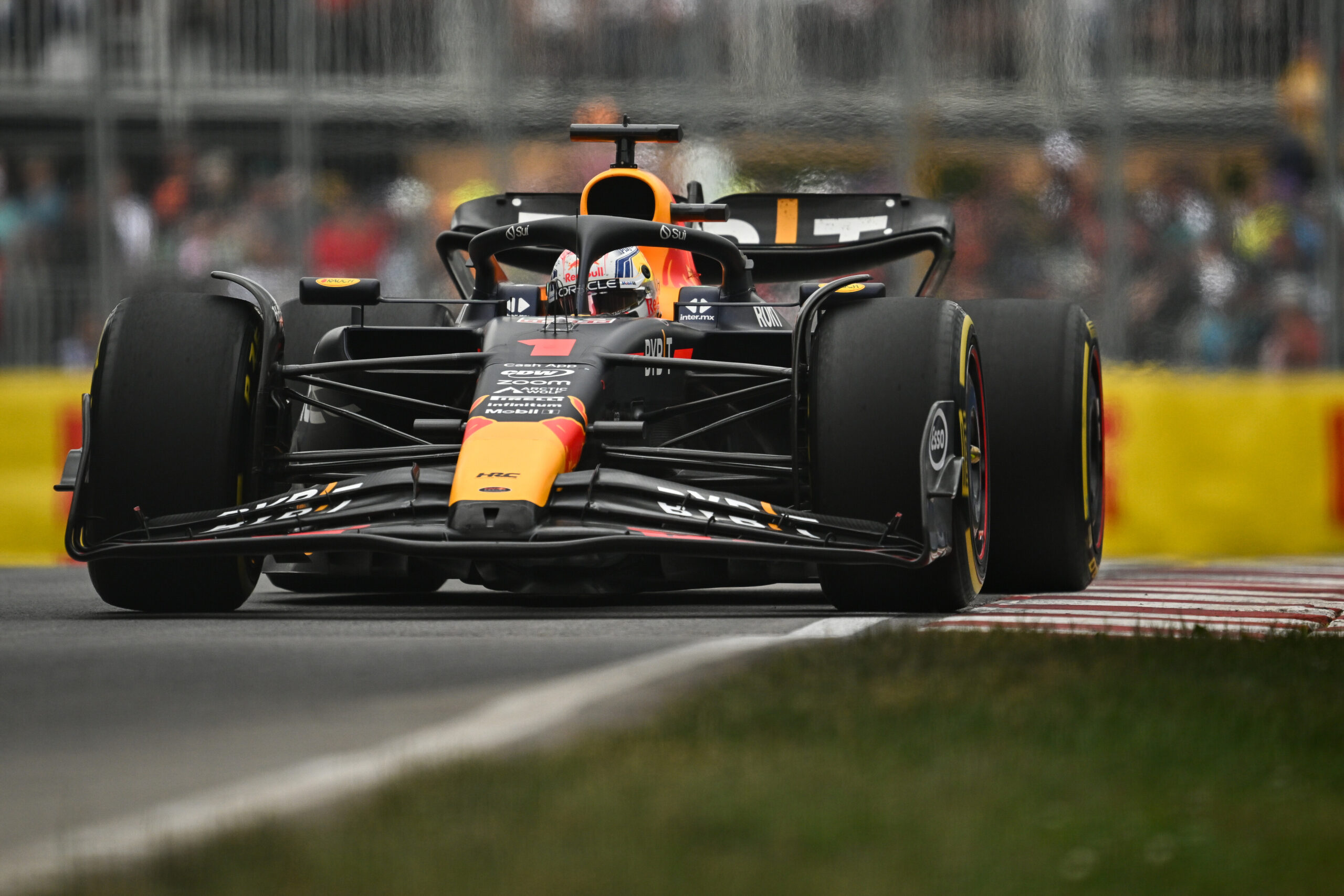 Red Bull revela que Verstappen correu GP do Canadá com pássaro preso em duto de freio