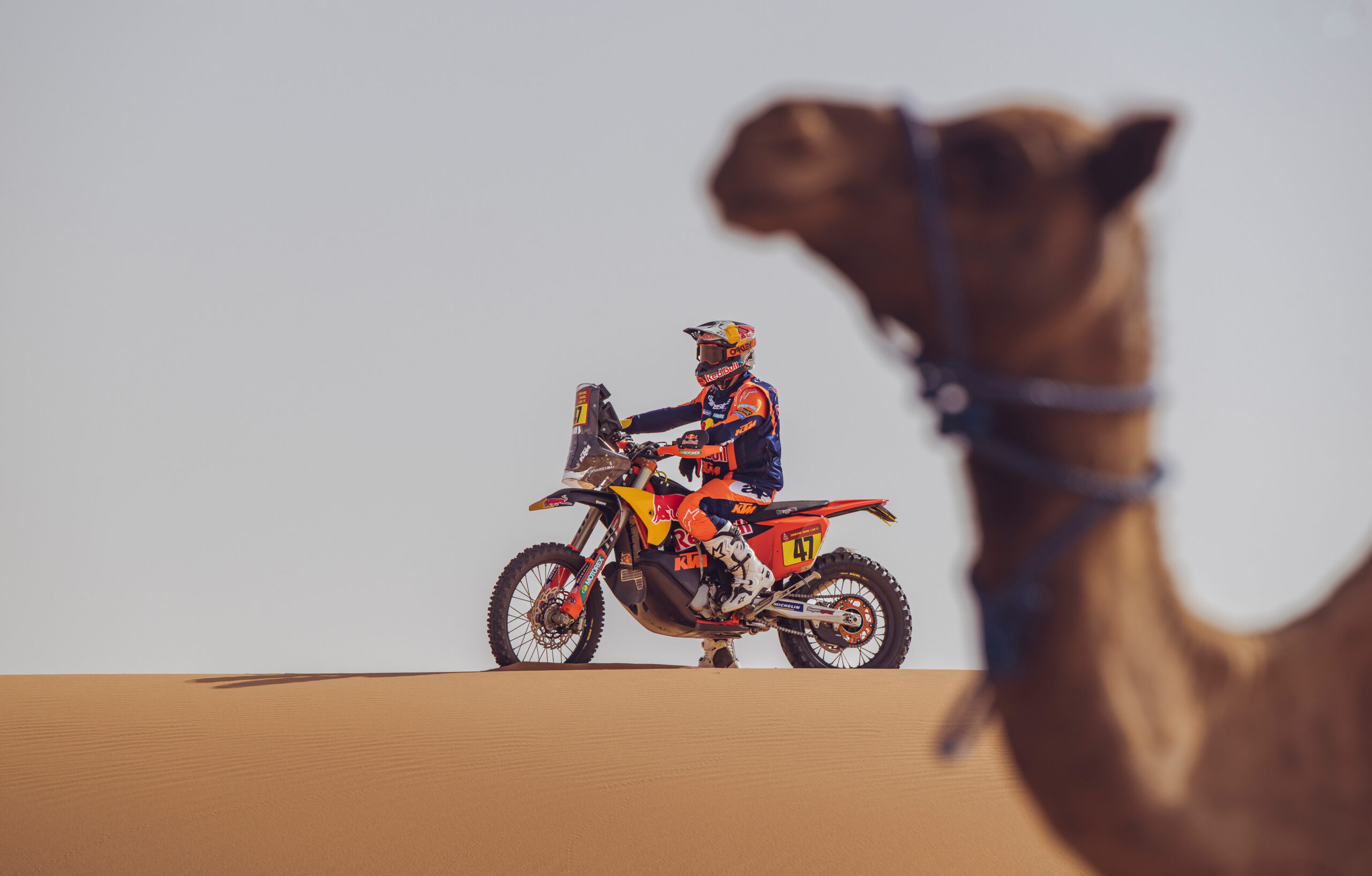 Dakar abre 2025 do esporte a motor com veteranos em alta e Moraes na briga