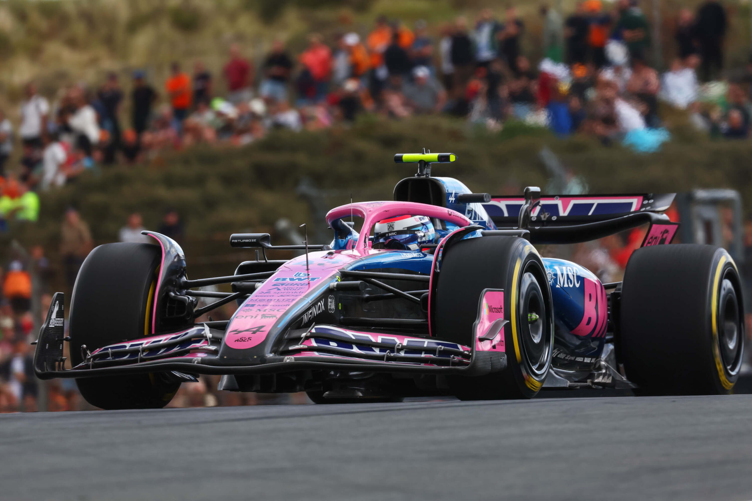 Briatore elogia a Colapinto, pero lamenta la “oportunidad perdida” de Alpine en Zandvoort