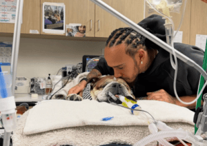 Hamilton remembers Roscoe one year after his death: “I wish he was with me”