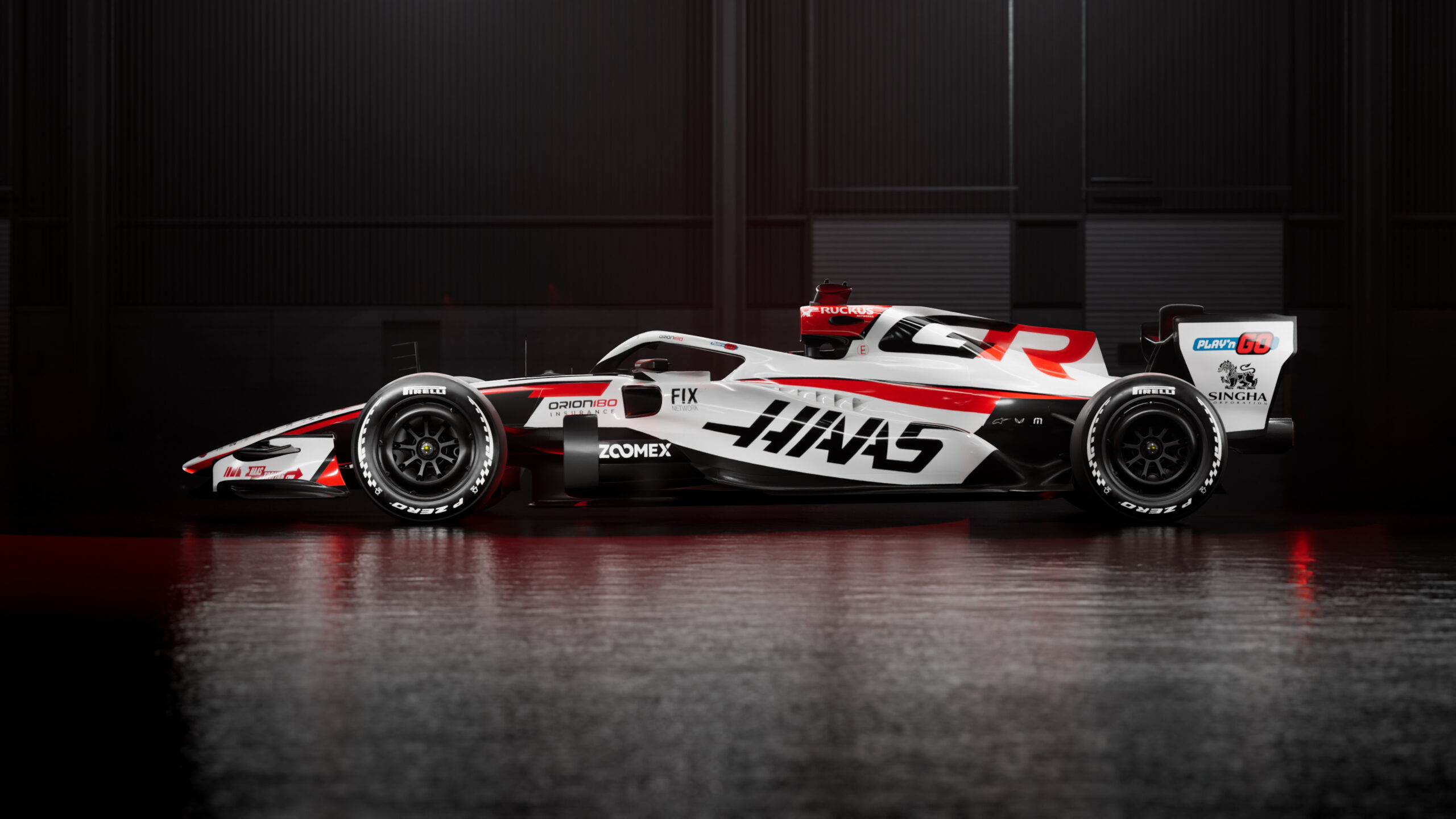 PINTURA 3: HAAS