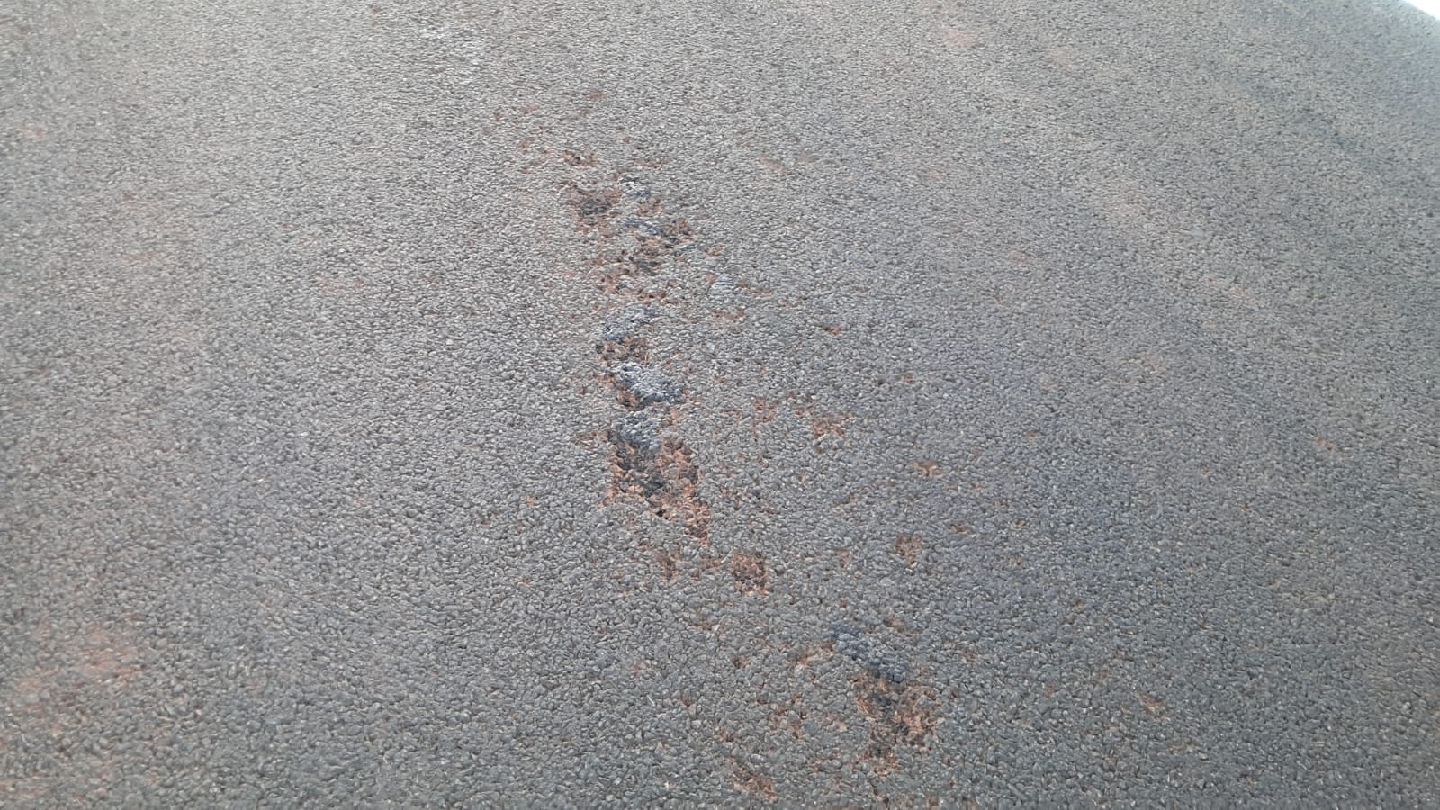 FIM culpa calor e sistema de esgoto desconhecido por problemas no GP do Brasil